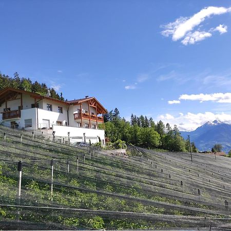 Pruensterhof Schenna 아파트 외부 사진