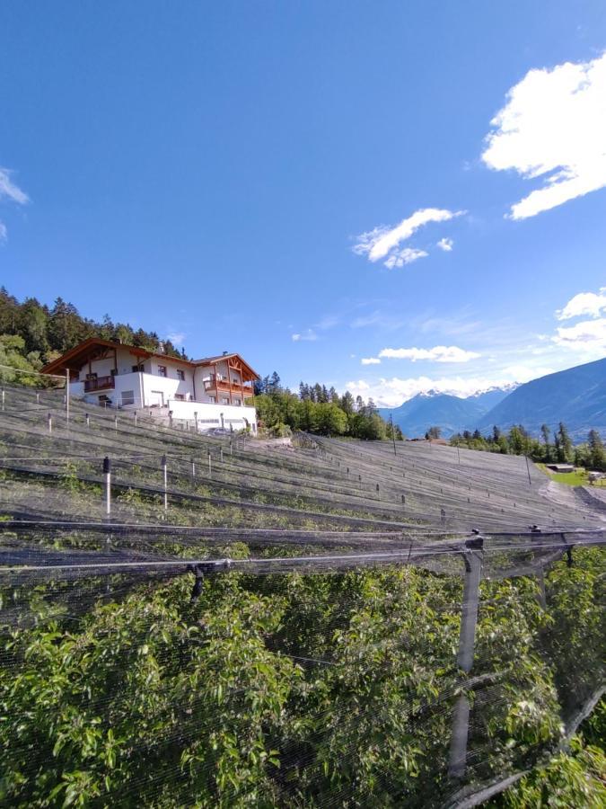 Pruensterhof Schenna 아파트 외부 사진