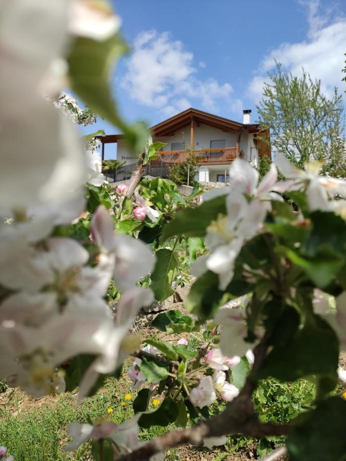 Pruensterhof Schenna 아파트 외부 사진