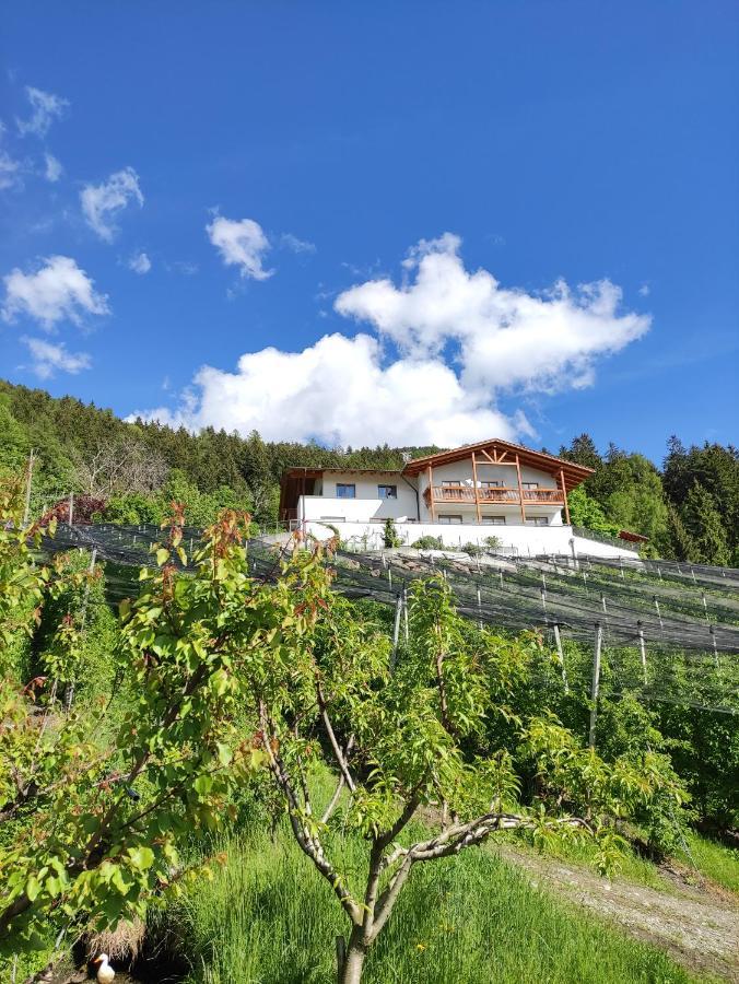 Pruensterhof Schenna 아파트 외부 사진