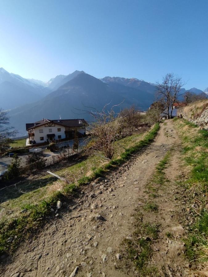 Pruensterhof Schenna 아파트 외부 사진