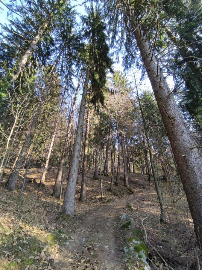 Pruensterhof Schenna 아파트 외부 사진