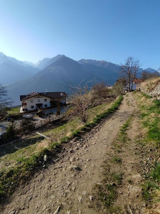 Pruensterhof Schenna 아파트 외부 사진