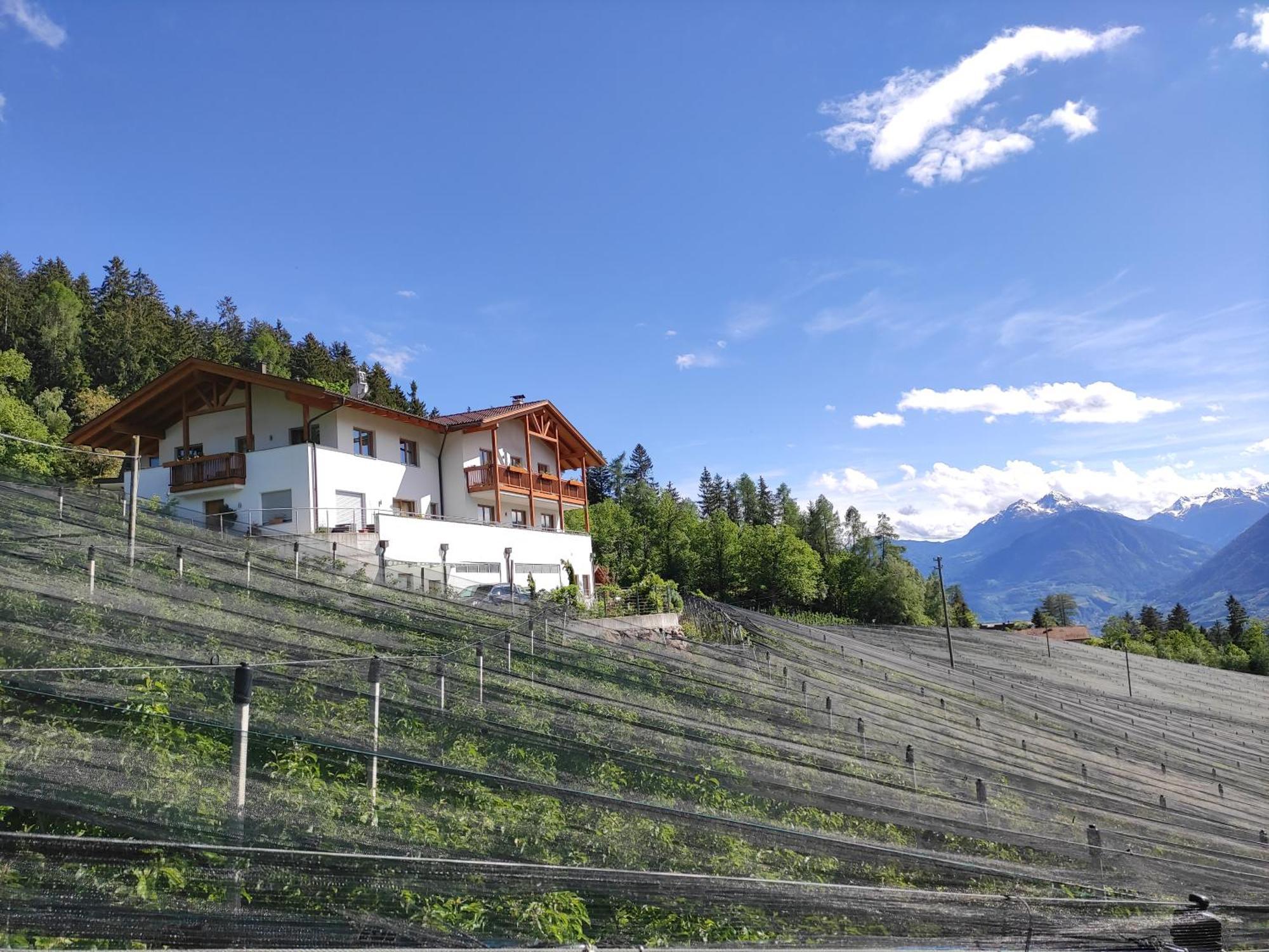 Pruensterhof Schenna 아파트 외부 사진