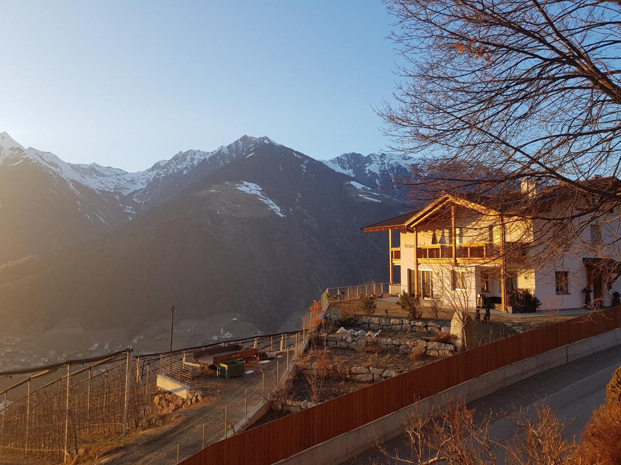 Pruensterhof Schenna 아파트 외부 사진