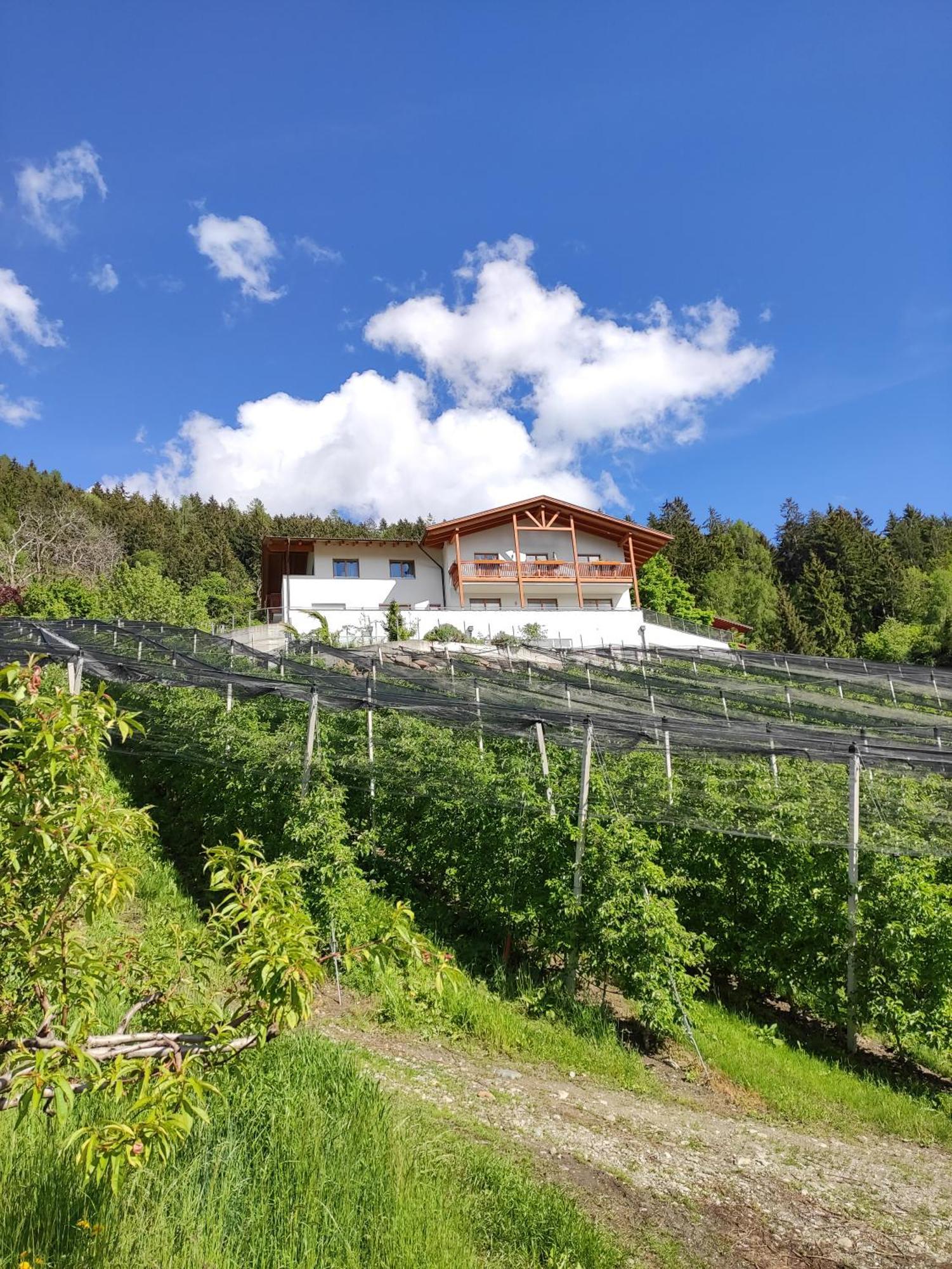Pruensterhof Schenna 아파트 외부 사진