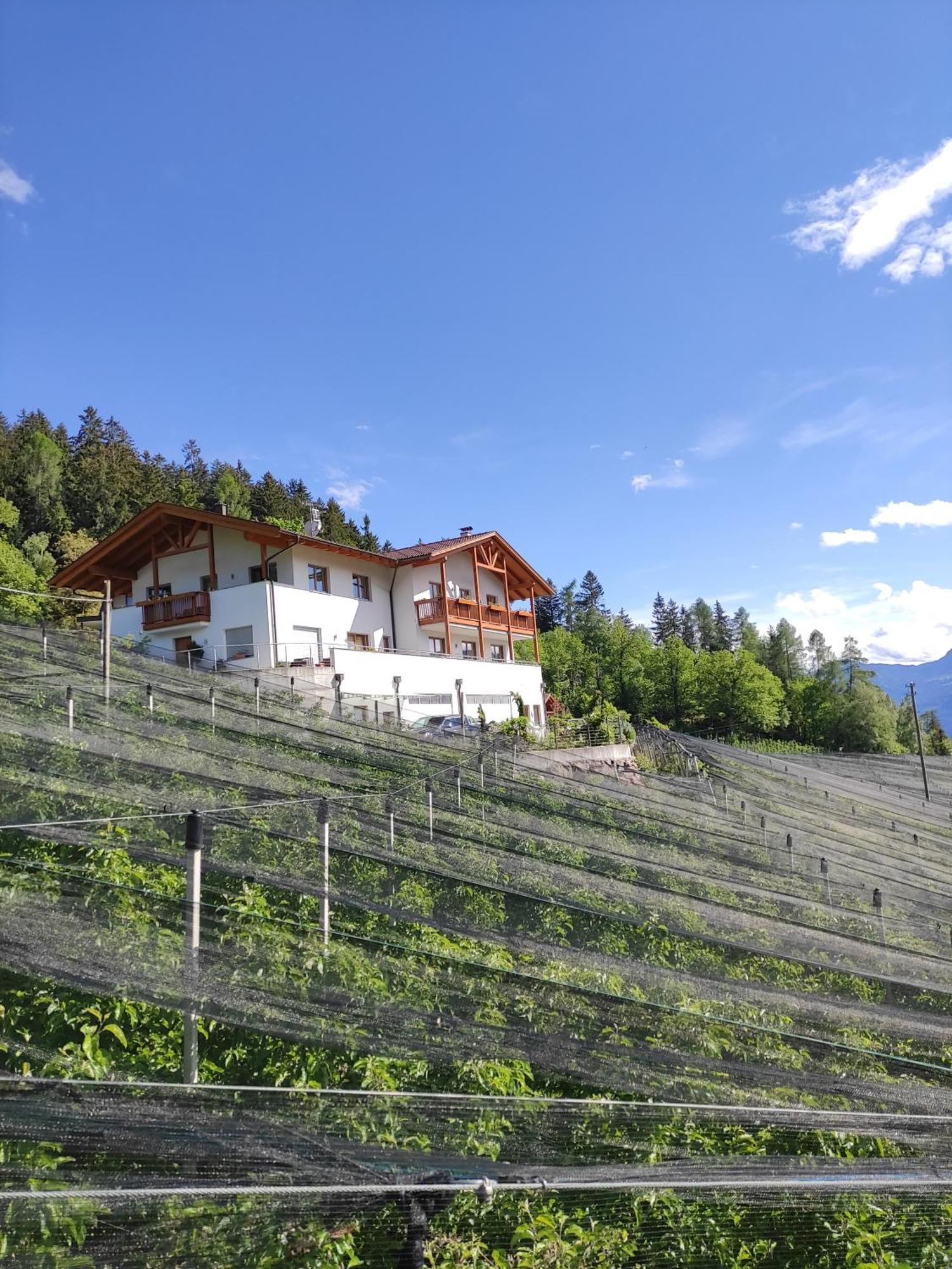 Pruensterhof Schenna 아파트 외부 사진